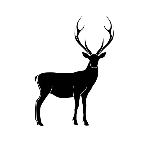 Illustration isolée du vecteur cerf. Cerf dessin animalier. — Image vectorielle