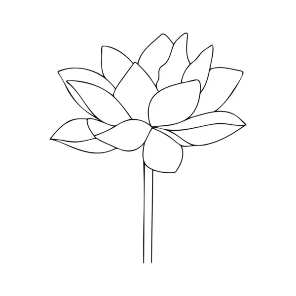 Silueta de loto vectorial. Lirio de agua flor asiática. Flor flor ilustración. Ilustración floral. Flor negra del icono de loto sobre un fondo blanco. — Vector de stock