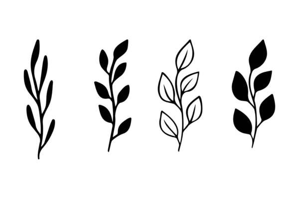 Растительные листья силуэты. Черный силуэт листьев на ветвях. Плоская векторная иллюстрация на белом фоне. — стоковый вектор