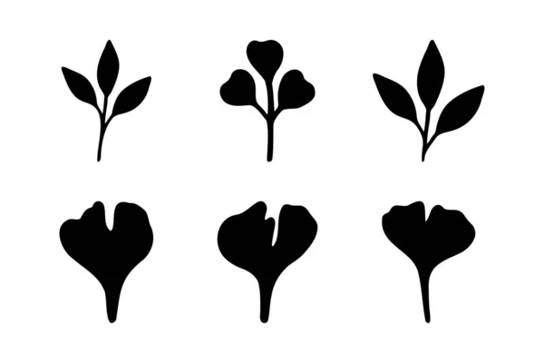 Černé listy na větvích. Ručně kreslené listy izolované na bílém pozadí. Siluety rostlinných listů. Plochá vektorová ilustrace. — Stockový vektor
