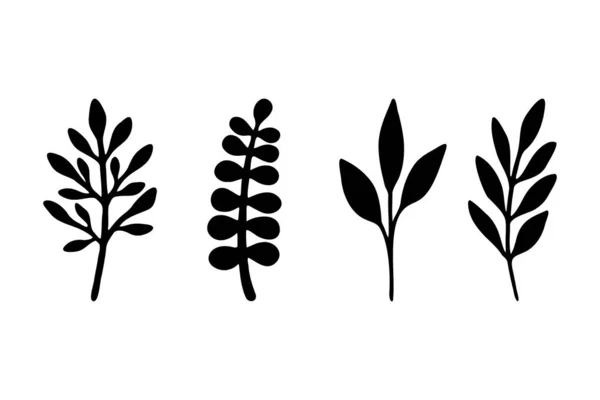 Hojas dibujadas a mano aisladas sobre fondo blanco. Las hojas de la planta siluetas. Hojas negras en las ramas. Ilustración vectorial plana. — Vector de stock