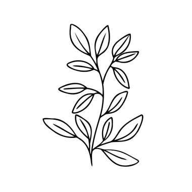 Yaprak dalı vektör ana hatları silueti. Eko simgesi Modern Minimalist siyah yapraklar
