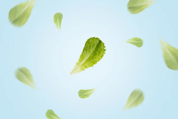Fliegender Salat — Stockfoto