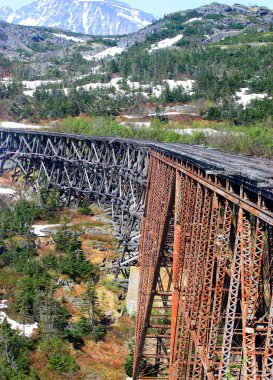Train entering a tunnel through old bridge 