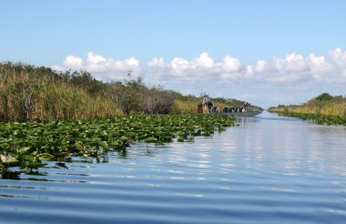 Airboat in Everglades