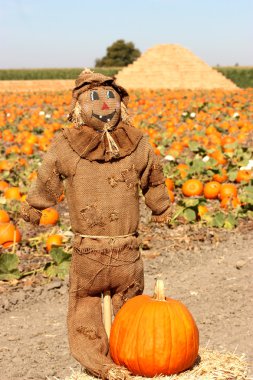 Brown Scarecrow