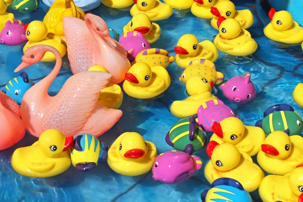 Vários patos de brinquedo na água — Fotografia de Stock