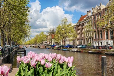 Canal in the old city of Amsterdam, Netherlands