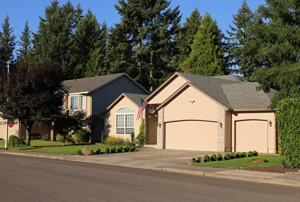 Family homes in suburban neighborhood — Stock Photo, Image