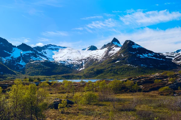 Noorse hoge bergpas in de zonnige zomerdag — Stockfoto