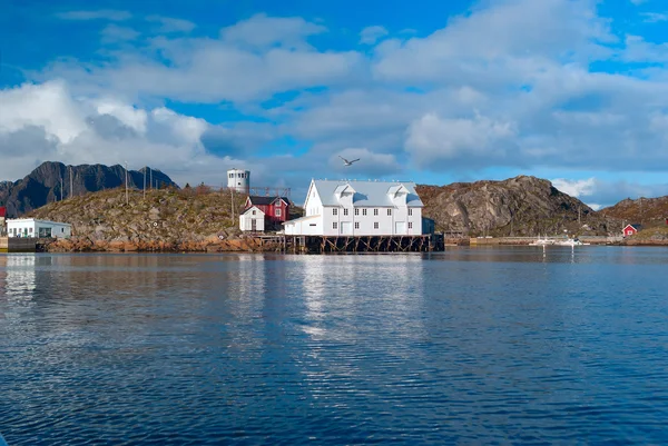 Bílé ryby továrna na Lofoty island — Stock fotografie