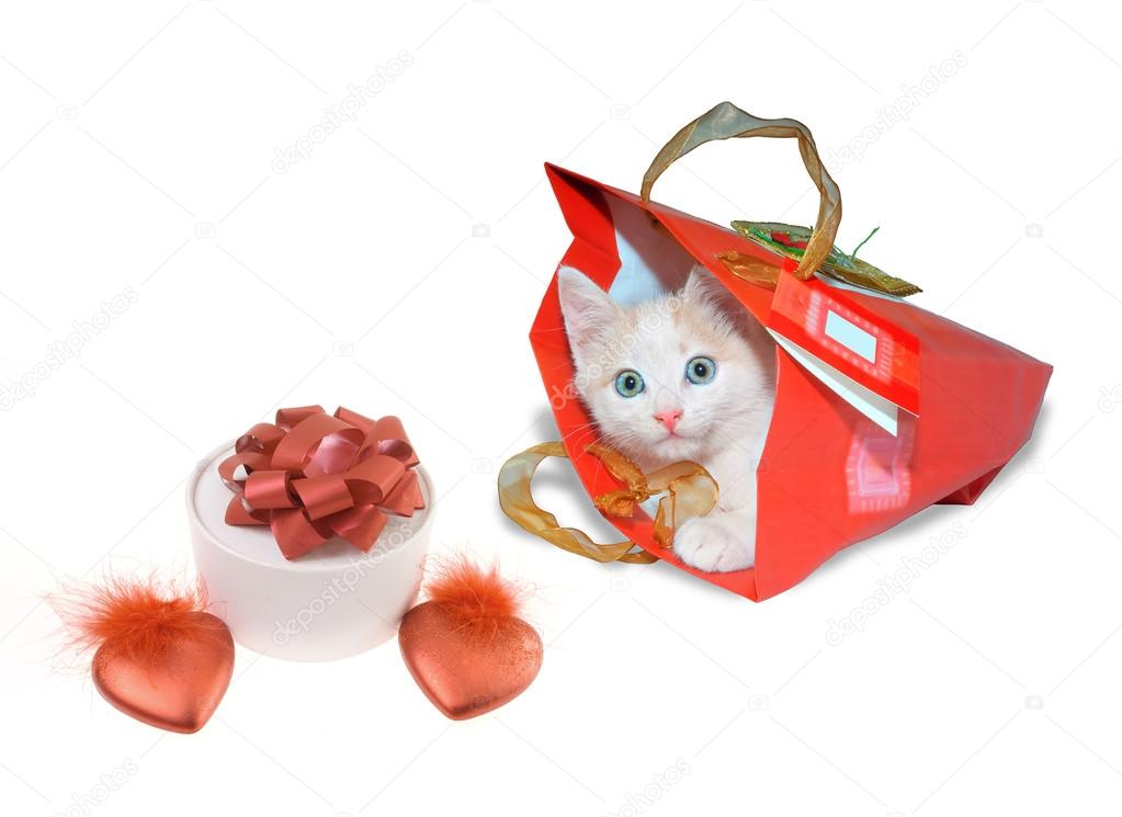 White kitten in red package and white round box and two red hear