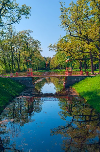 Puente chino en la zanja en el parque verde — Foto de Stock