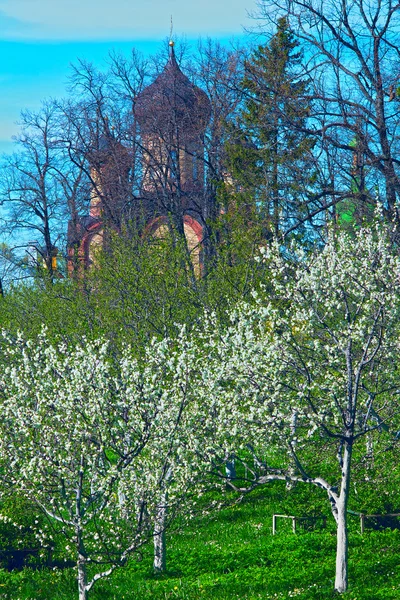 Bloeiende appelboomgaard en het Christian Church — Stockfoto