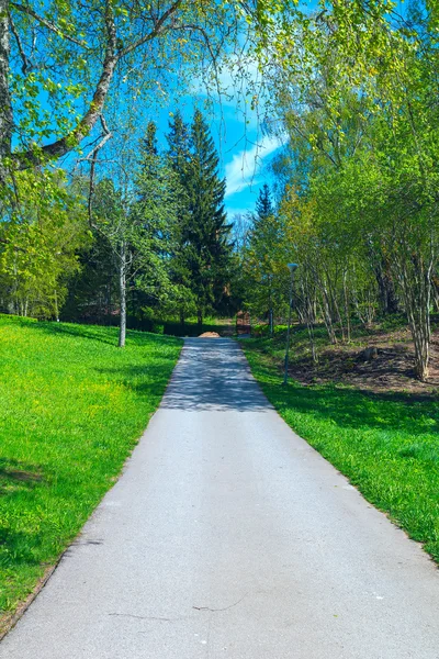 Пешеходная дорожка в осеннем парке в солнечный день — стоковое фото
