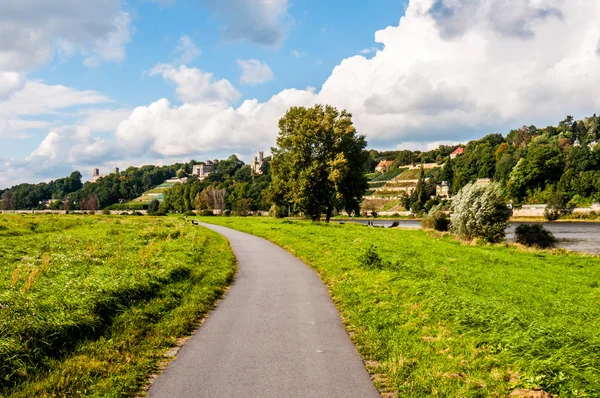 In Dresden — Stockfoto