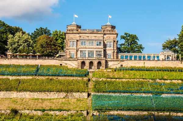 Lingner Palace — Stock Photo, Image