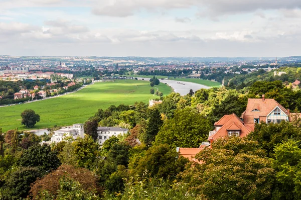 Elbe i Dresden — Stockfoto