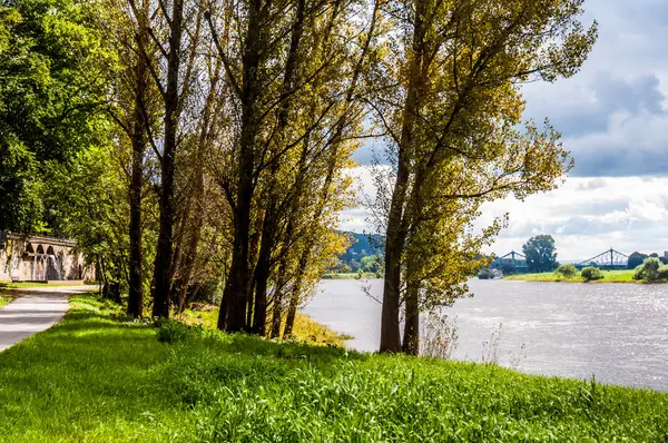 In Dresden — Stockfoto