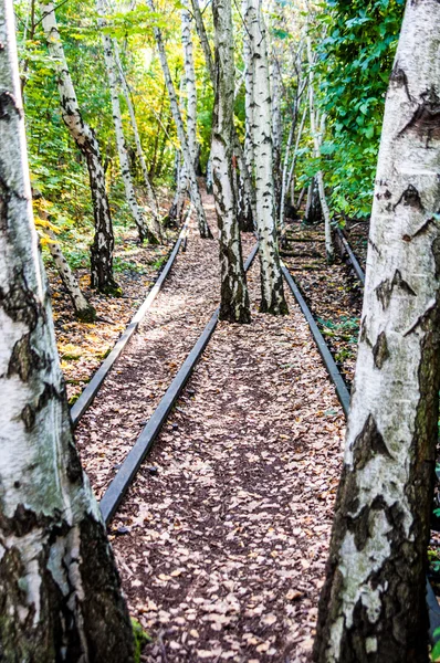 Schoeneberger Suedgelaende natuurpark — Stockfoto