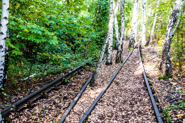 Природний парк Schoeneberger Suedgelaende — стокове фото