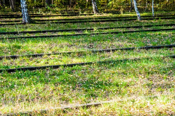 Schoeneberger Suedgelaende natuurpark — Stockfoto