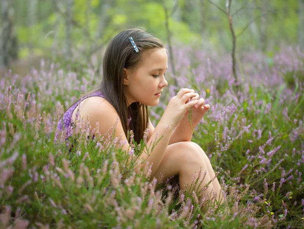 Chica en flores de brezo — Foto de Stock