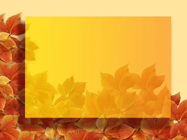 秋の背景 カラフルな赤とオレンジの秋の葉は 書き込みのためのフレームブランクコピースペース — ストック写真