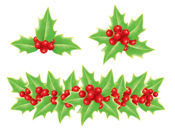 Holly — Stockvector