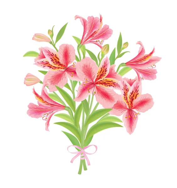 アルストロメリアの花束 — ストックベクタ