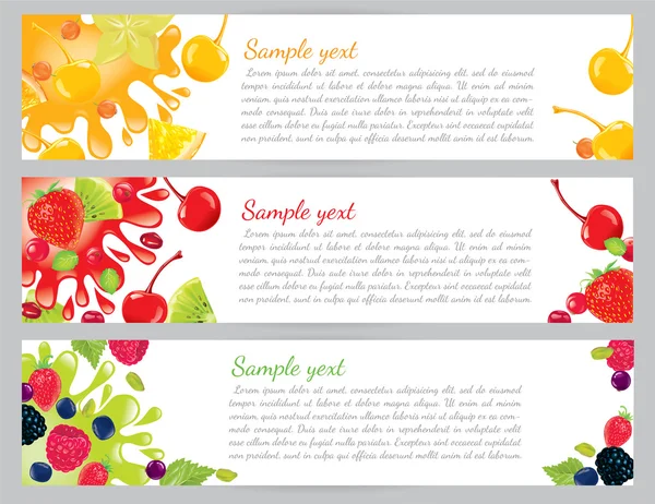 水果和浆果的横幅 — 图库矢量图片
