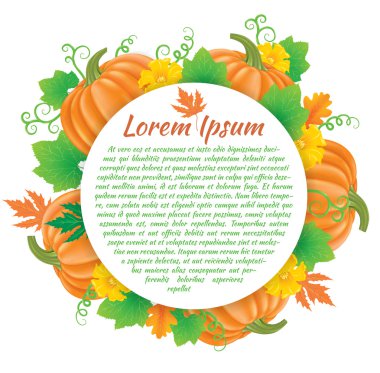 spin en de daling van de