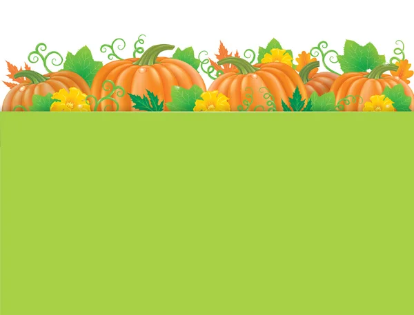 Banner de calabazas — Vector de stock