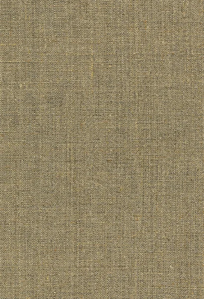 Linen canvas texture — Stock Photo, Image