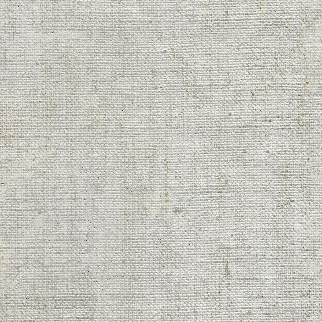 Canvas Texture