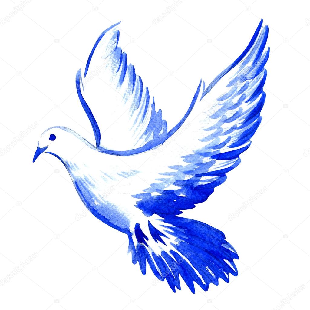 free flying white dove isolated, watercolor illustration