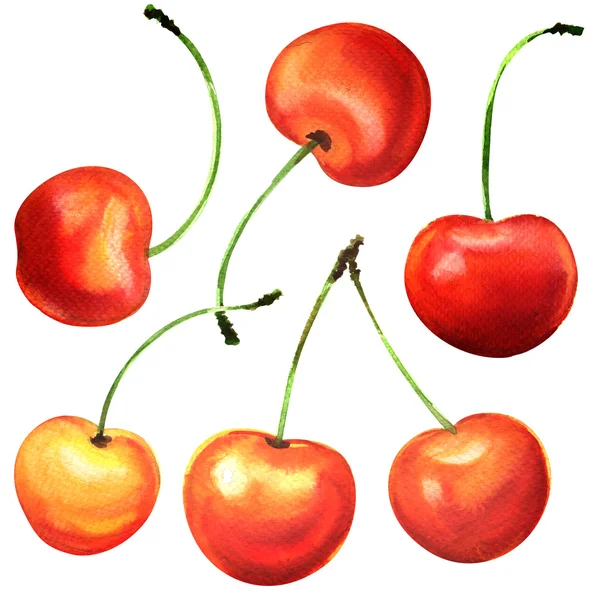 Reife Kirschbeeren Früchte, Kirschen, isoliert, Aquarell Illustration auf Weiß — Stockfoto