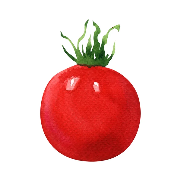 One fresh red tomato isolated, watercolor illustration on white — Stock Photo, Image