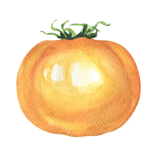 One fresh yellow tomato isolated, watercolor illustration on white — Stock Photo, Image