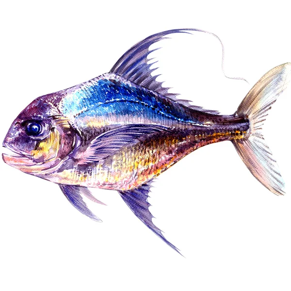 Frischer Ozean blau gelb Fisch isoliert, Aquarell-Illustration, weißer Hintergrund — Stockfoto