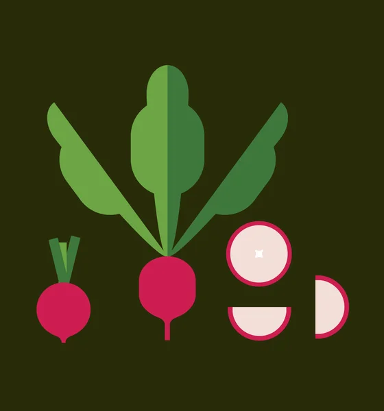 Rode radijs met bladeren en plakjes, verse groenten, geïsoleerd, logo, etiket design element, gezond vegetarisch voedsel, platte stijl, icoon, grafisch symbool. Vector illustratie op kleur — Stockvector