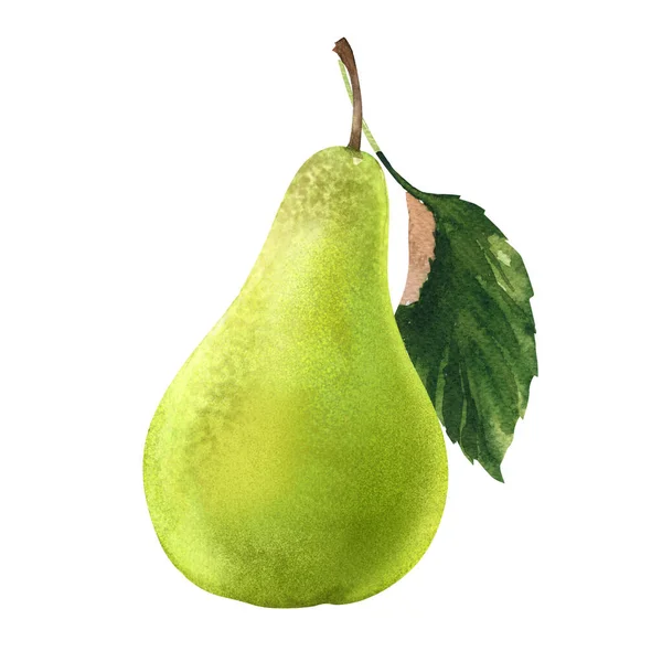 Färska saftiga gröna päron med blad, hela söta läckra frukt, närbild. Skörd, ekologisk vegetarisk mat, naturlig ingrediens, isolerad, handritad akvarell illustration på vitt — Stockfoto