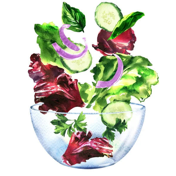 Fresh vegetables, sliced cucumber, onion, salad leaves, lettuce and parsley, ingredients for salad falling into bowl, vegetarian food, isolated, hand drawn watercolor illustration on white — Stock Photo, Image