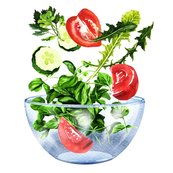 Świeże warzywa, pomidory w plasterkach, ogórek, zielone liście, składniki sałatki wpadające do miski, wegetariańskie jedzenie, izolowane, ręcznie rysowane akwarele ilustracja na białym — Zdjęcie stockowe