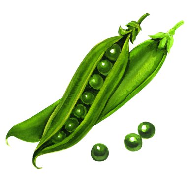 Fresh peas isolated on white background clipart
