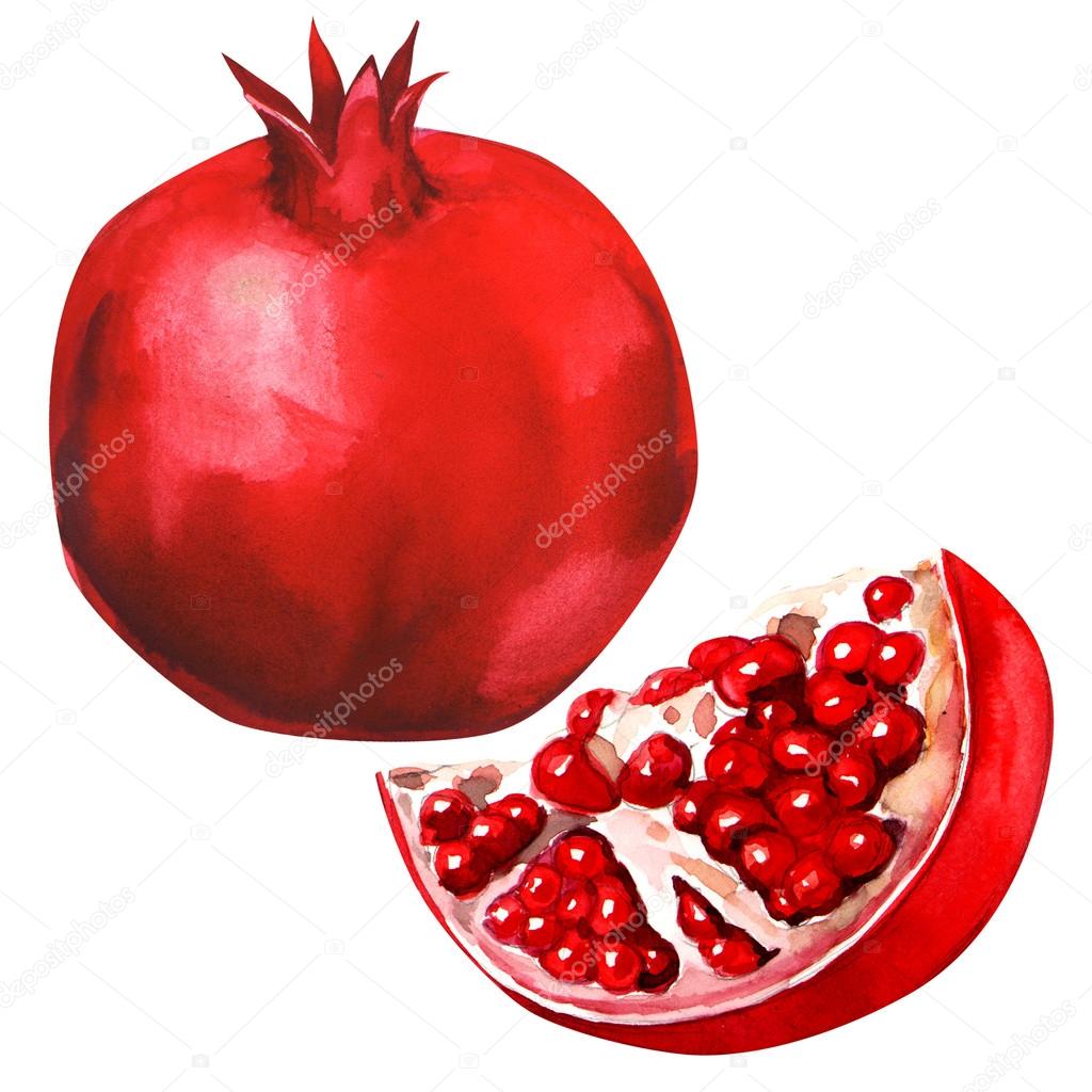 pomegranate fruit isolated