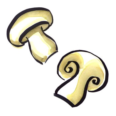 izole beyaz zemin üzerine beyaz mantar