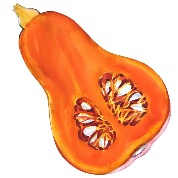 하얀 배경에 고립 된 오렌지 호박 — 스톡 사진