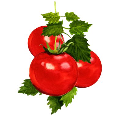 Beyaz yaprakları ile domates şube