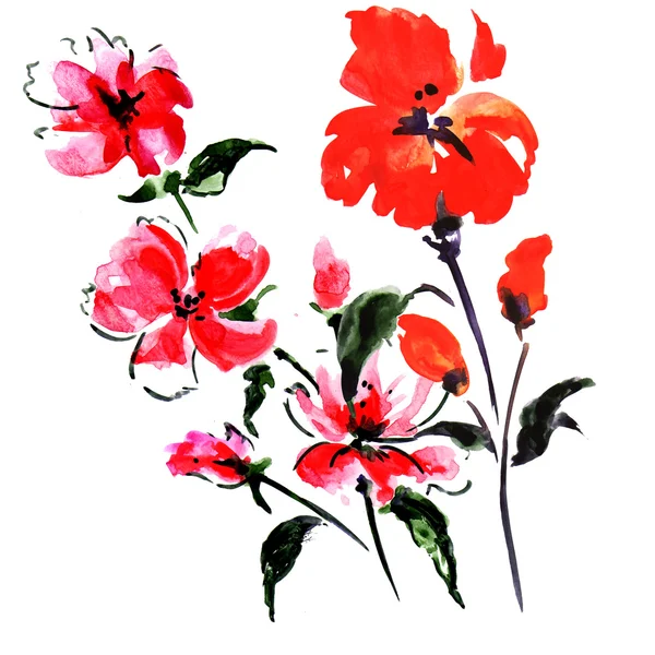 Flores vermelhas do verão — Fotografia de Stock